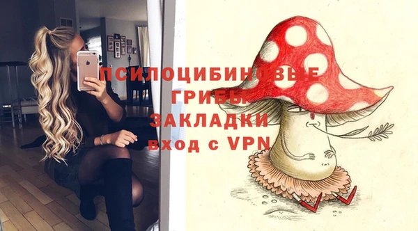 гидропоника Аркадак